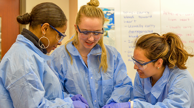 Three biology students conduct an experiment in the science laboratory. They are wearing protective eyewear, blue lab jackets and gloves. A white board with text written on it is behind them in the background..