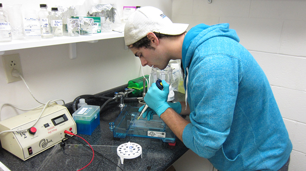 A La Roche University biology major working on a lab project in the Palumbo Science Center.