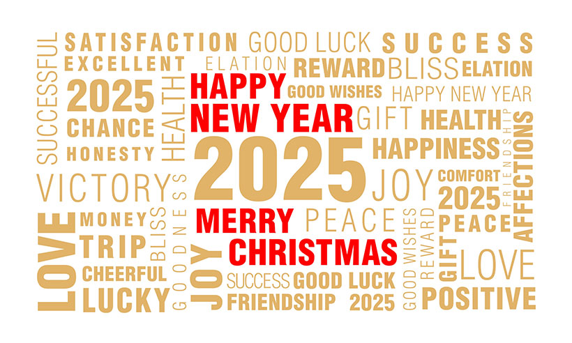 Happy 2025 New Year