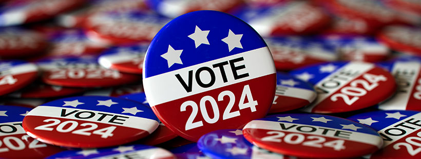 Vote in the 2024 Election